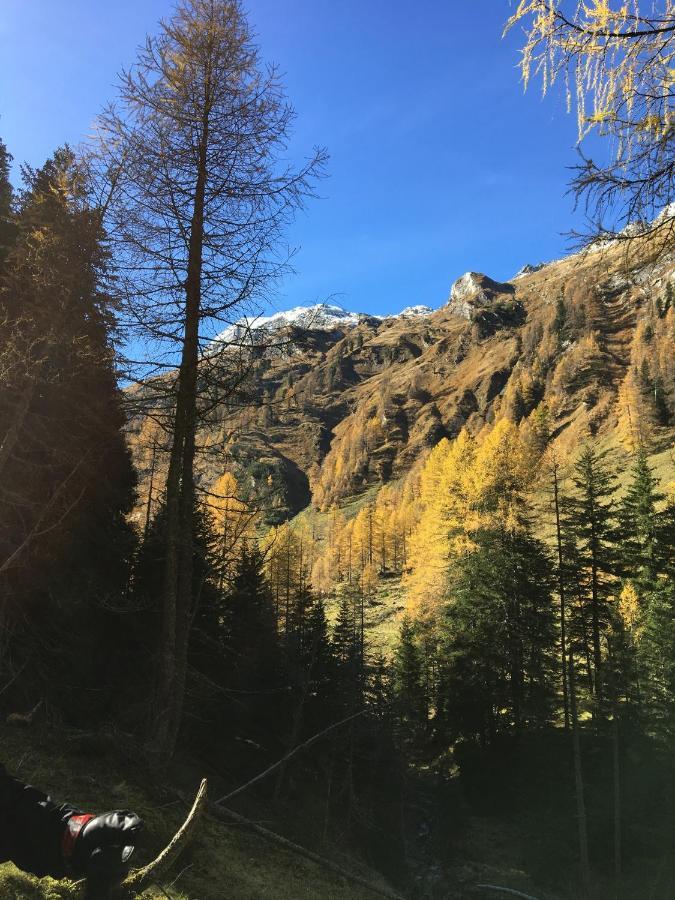 Haus Greet Lägenhet Muhr Exteriör bild